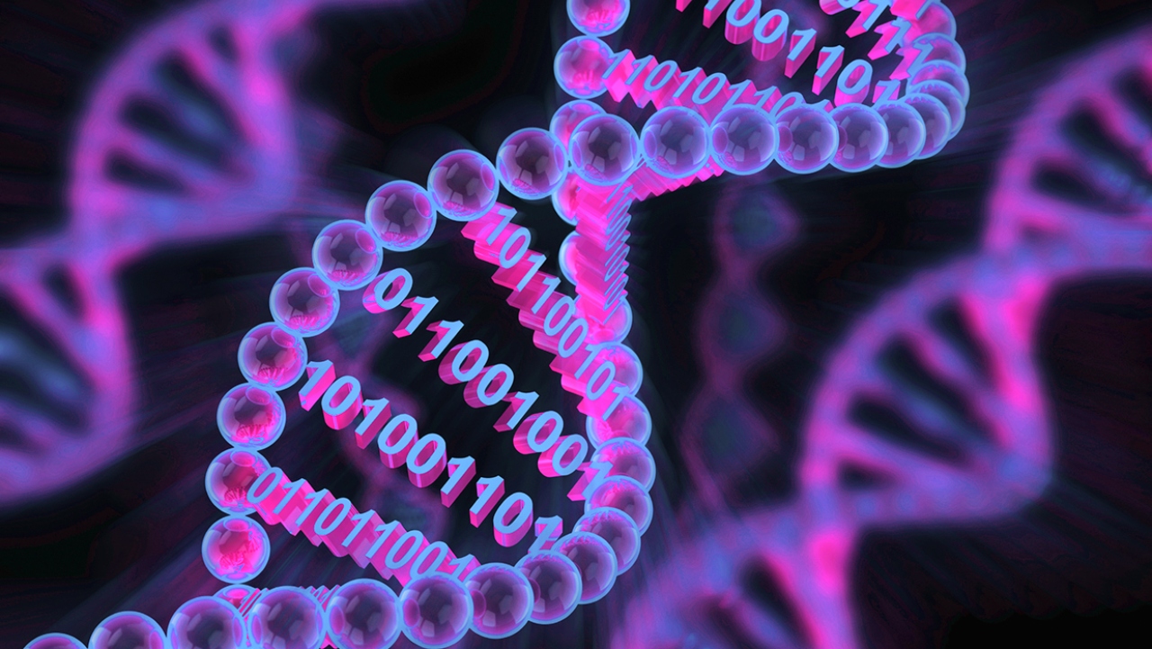 CRISPR Gen Düzenleme Teknolojisinin 10 Sıra Dışı Kullanımı